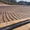 Factory Price Sale Subgrade Reinforcement Polyester Polypropylene Uniaxial Geogrid