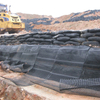 Factory Price Sale Subgrade Reinforcement Polyester Polypropylene Uniaxial Geogrid