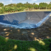 HDPE black fish farm pond liner plastic geomembrane