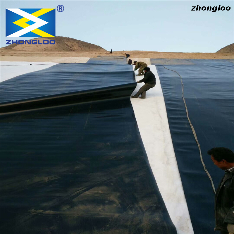 HDPE LDPE Waterproof Geomembrane Manufacturers Fish Farm Plastic Pond Liner for Aquaculture