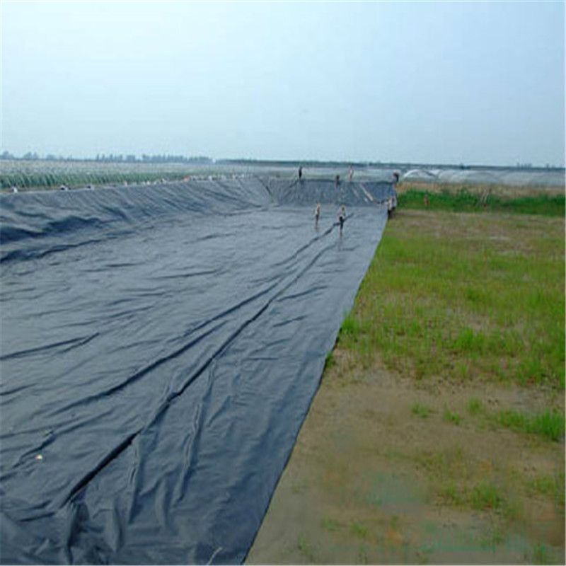 Best Quality Fish Farm Pond Liner Waterproof Geomembranas HDPE Liner Manufacturer for Pond Dam Water Tanks
