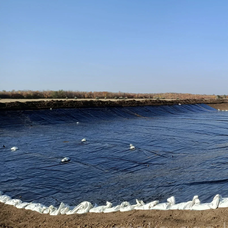 Rough Surface Artificial Fish Pond Geomembrane Piscine An Geomembrane Pond Liner Geomembrane