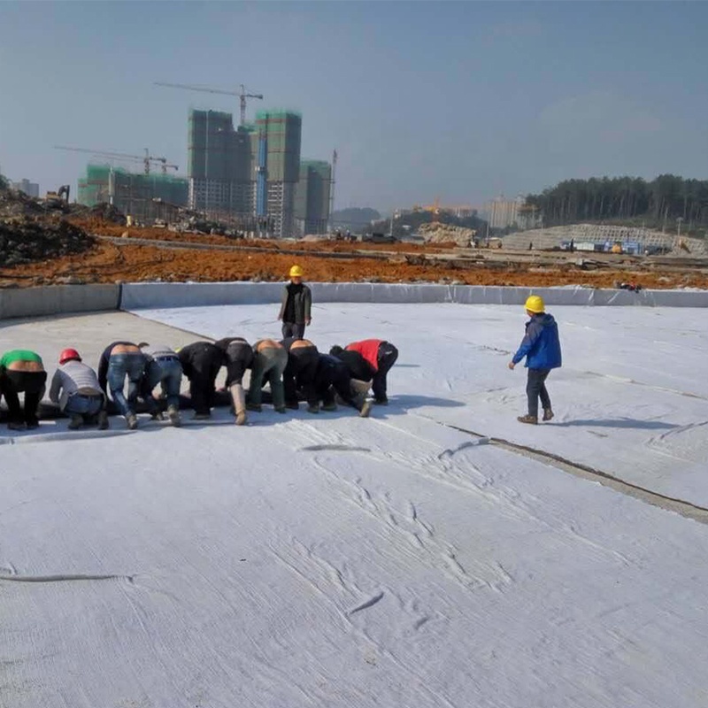 Staple Fiber Nonwoven Needle-Punched Black Geotextile – Ideal for Road Construction, Soil Stabilization, and Erosion Control