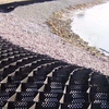 HDPE Plastic Geocell Paved Grid HDPE Geocell for Soft Basement Reinforcement Low Cost Gravel Stabilizer Geocell in Road Construction