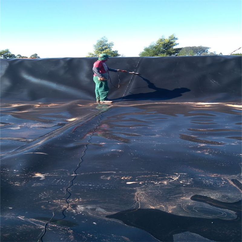 Polyethylene Pond Liners Plastic Dam Pond Hdpe Liner Geomembrane Hdpe Geomembrane Liner Price for Landfill Biadigaster