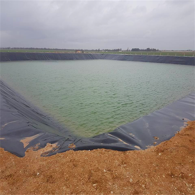 Hdpe Geomembrane Waterproof HDPE/Geomembrane/Pond Liner for Aquaculture/Dam/Landfill/Tunnel/Mining/Biogas/Fish Farm