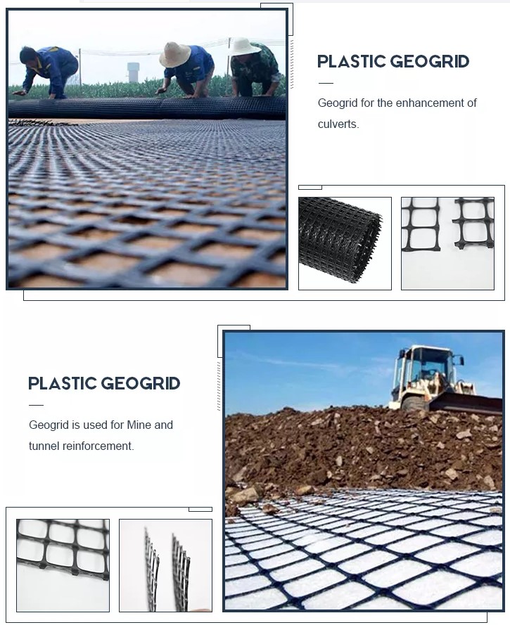 geogrid case 5