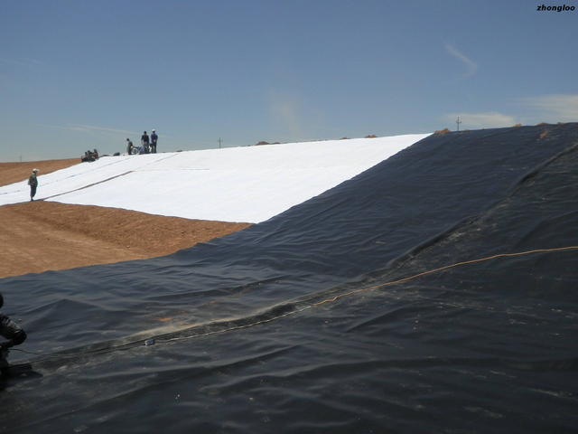 Free Sample HDPE Geomembrane Pond Liner Price