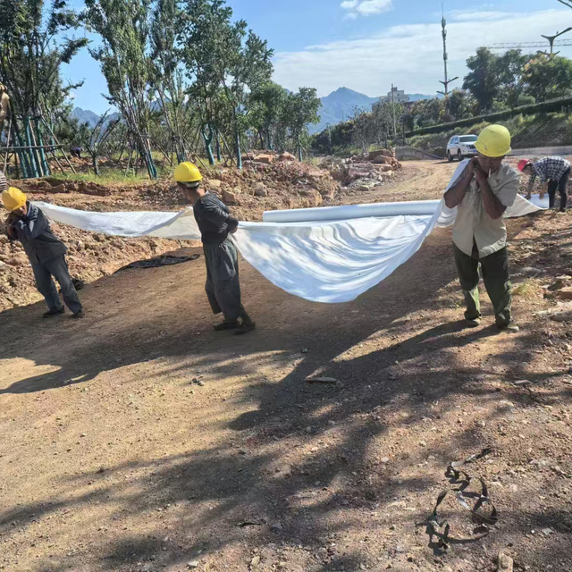 Export Duty Products Factory Wholesale Non Woven Geotextile Drainage Fabric Road Construction