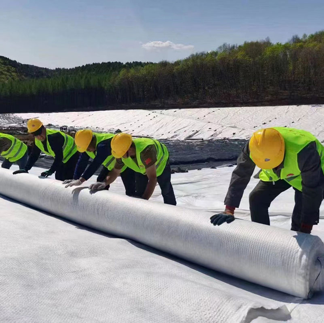 Needle Punched Short Fiber Geotextile 300gsm – Road Base Stabilization And Paving Nonwoven Fabric Material