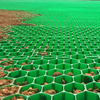 Grass Protection Turf Grass Grid Plastic Grid for Gravel Driveway Parking Lot Grass Paving Grid
