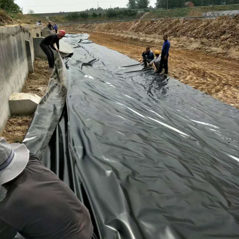 HDPE Waterproof Geomembrane LDPE Geomembrane Polyethylene Geomembrane High Quality Waterproof Aquaculture Pond Liner 1.5mm HDPE Liner Geomembrane