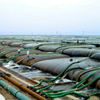 PP Geotextile Tubes Woven Geotextiles Geotube Geotechnical Fabric Dewatering Geotube for Sea Wall Protection