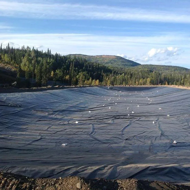 Manufacturer Black Fish Shrimp Pond Liner 0.5mm 0.3mm 1.5mm Hdpe Geomembrane