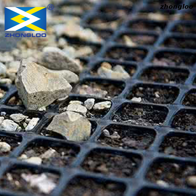 Polyester Geogrid Prices Plastic Material Geogrids Type