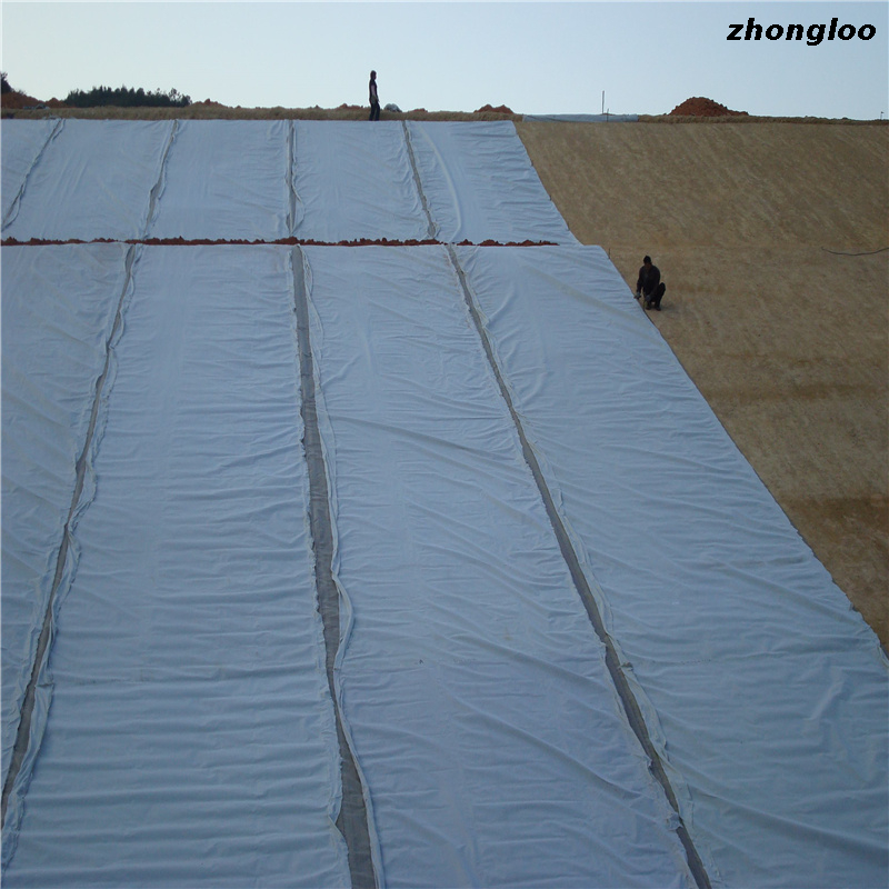 Impermeable Material 500-2000gsm Hdpe Manufacturers Producing Composite Geomembrane High Density Geomembrane