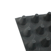 HDPE Dimple Drainage Cell 30mm Drainage Membrane Drainage Board