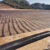 UV Resistant Uniaxial Plastic Geogrid Mesh – High Strength Geogrid for Soil Reinforcement, Slope Protection, Road Base Stabilization, And Landfill Earth Retention