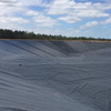 Wholesale Ted Bakerblue Lagoon HDPE Pond Liner Geomembrane Factory Price