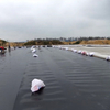 Polyethylene Pond Liners Plastic Dam Pond Hdpe Liner Geomembrane Hdpe Geomembrane Liner Price for Landfill Biadigaster