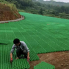 High Quality HDPE Material Grass Planting Grid Outdoor Park Garden Parking Lot Earthwork Engineering Greening Drainage Products