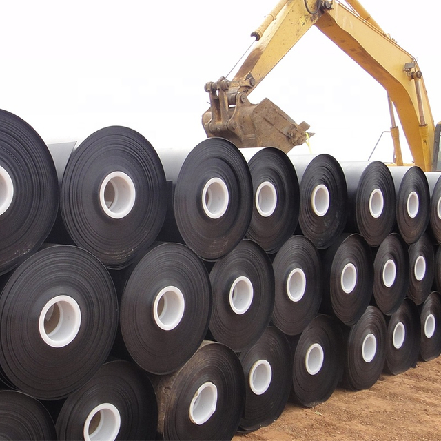 Building Material HDPE Geomembrane for Fish Pond Dam Liner