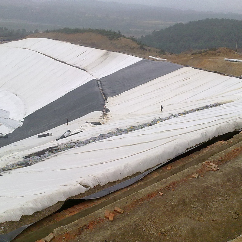 High Strength PP PET Woven Geotextile for Road Construction