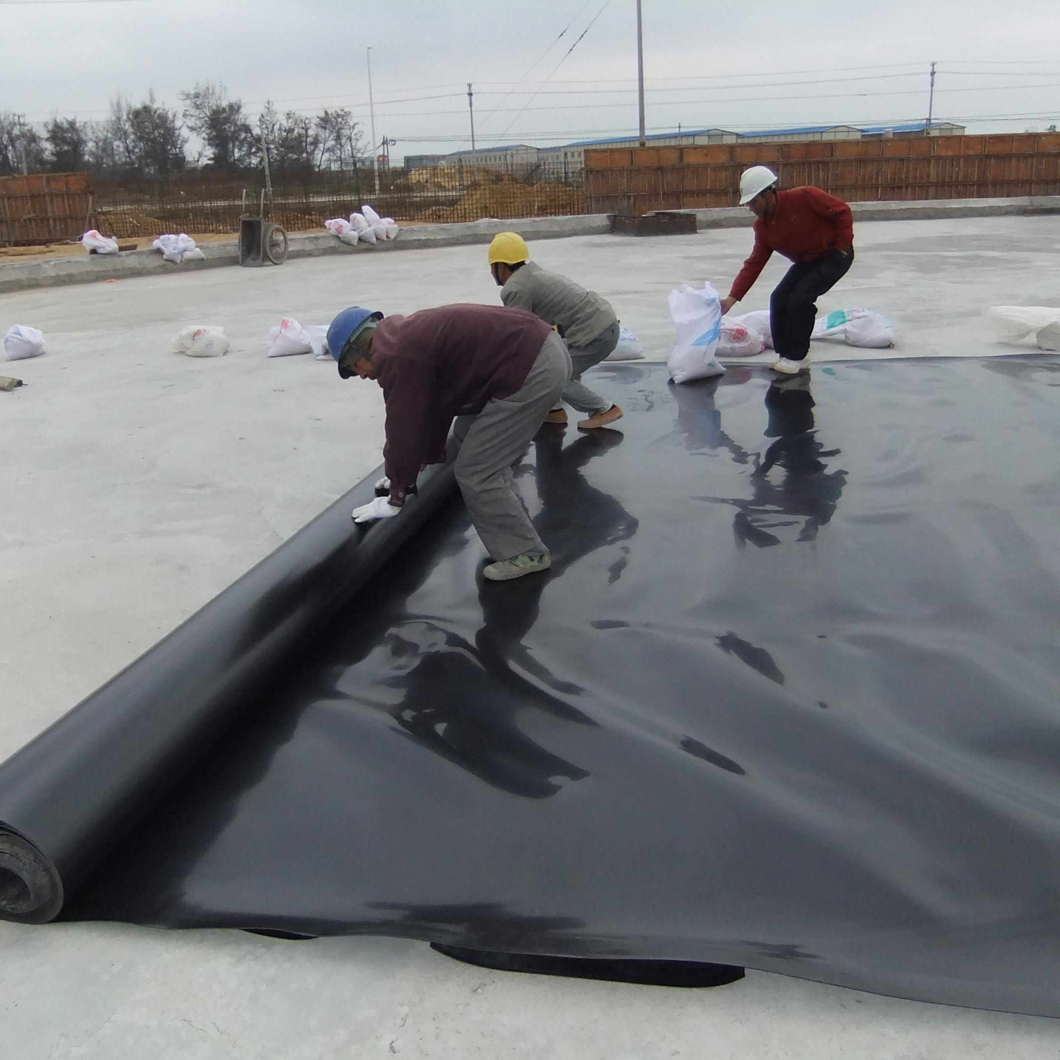 EarthShield 0.5mm 0.75mm 1mm 1.5 Mm 2.0 Mm 3 Mm HDPE Geomembrane Pond Liner for Fish Farming HDPE Liner