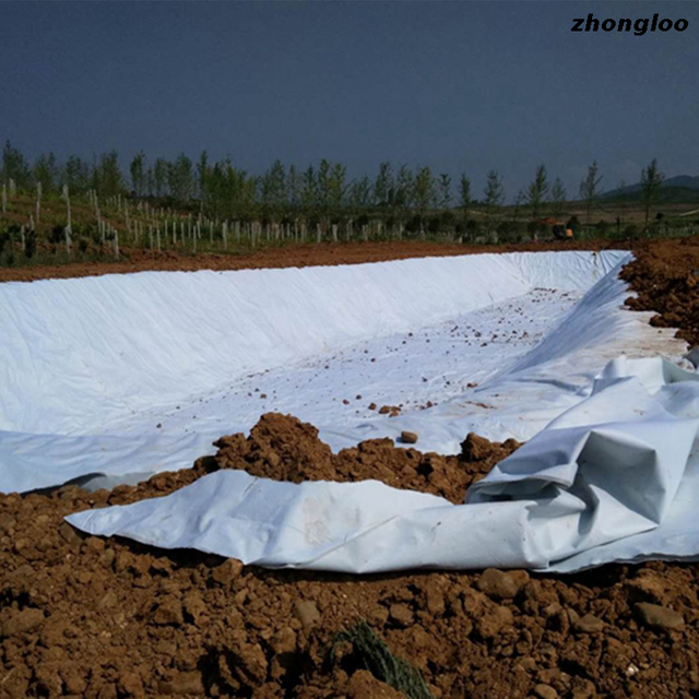 China Manufacturers Waterproofing Pet Nonwoven Fabric Geotextile