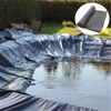 HDPE Geomembrane Black 1.5mm 2.0mm 3mm Tailings Pond/Landfill/Sewage Tank/Reservoir/Artificial Lake/Golf Course Lake Geomembrane