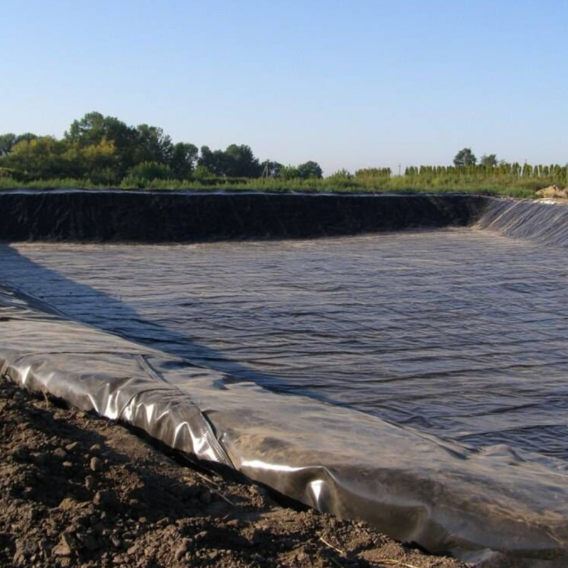 High Quality 1mm 3mm LDPE HDPE Geomembrane for Dam Waterproofing Geomembrane Pond Liner