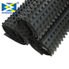 Impounding Plastic Roofing Drainage Board Roof Garden Roof Garden Drainageboard Pp Drain Board