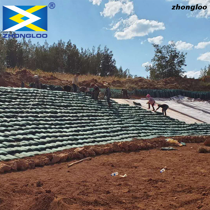Eco-Friendly Geotextile Sand Bag for Erosion Control, Riverbank Protection, Mine Site Restoration, And Landscape Greening Projects