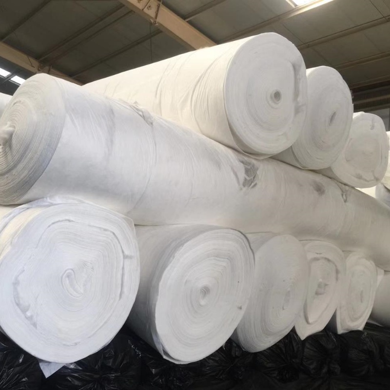 Nonwoven Filament Geotextile Fabric PP PET Needle Punched Geotextile Non Woven Long Fiber Geotextile Supplier for Construction