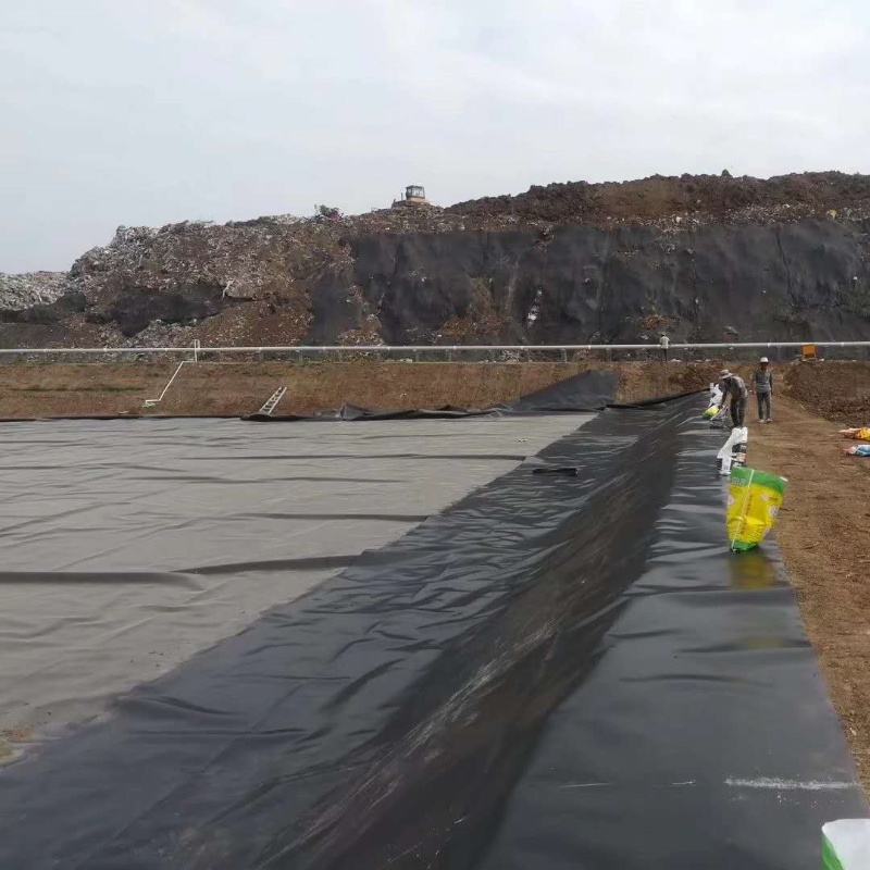 Hdpe Pond Liner Geomembrane Hdpe Waterproof Geomembrane Ldpe Geomembrane