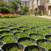 Dual-Purpose Eco-Friendly and Durable Permeable Pavers Grass Paver Grid for Parking Lot Greeining