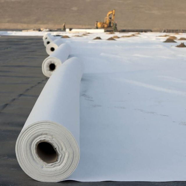 Wholesale 100g 200g 300g Nonwoven Needle Punched Geotextile Fabric for Landfills Slope Protection Road Construction Anti-Aging