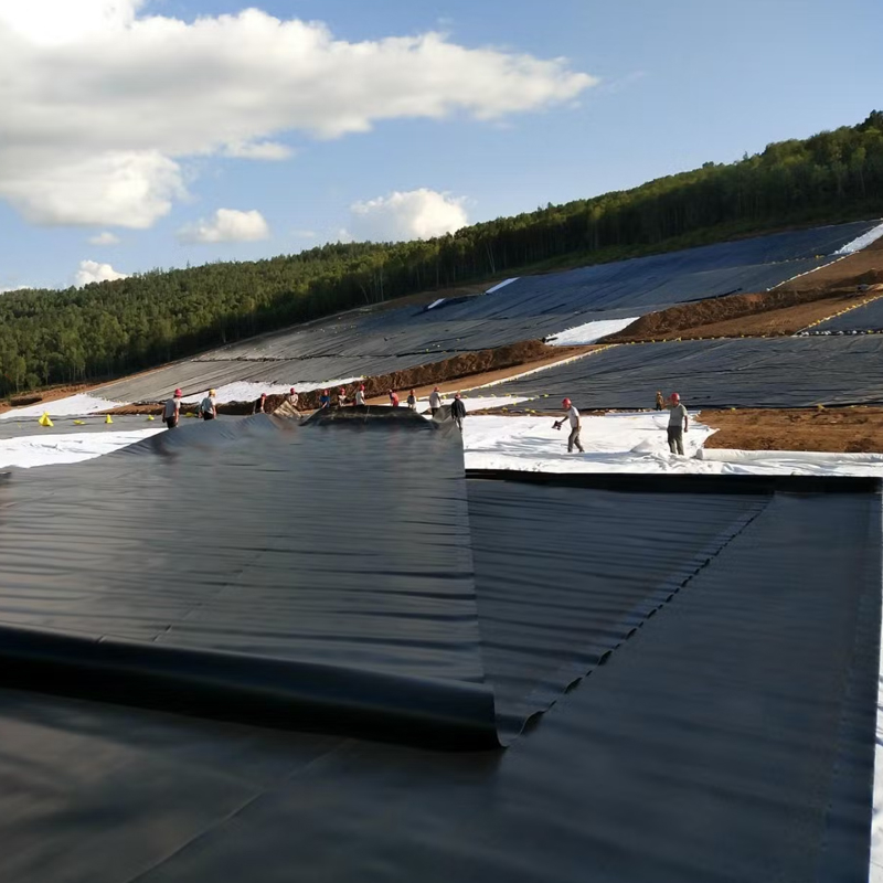 Ted Bakerblue Lagoon Hdpe Geomembrane Pond Liner Price Geomembrane Factory