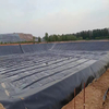 HDPE Geomembrane Black 1.5mm 2.0mm 3mm Tailings Pond/Landfill/Sewage Tank/Reservoir/Artificial Lake/Golf Course Lake Geomembrane