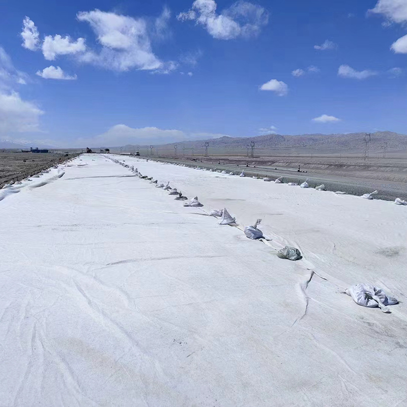 Staple Fiber Nonwoven Needle-Punched Black Geotextile – Ideal for Road Construction, Soil Stabilization, and Erosion Control