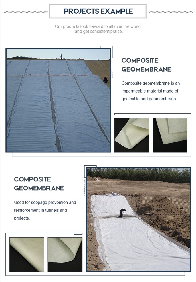 Composite Geomembrane2