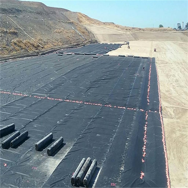 Hdpe Geomembrane Waterproof HDPE/Geomembrane/Pond Liner for Aquaculture/Dam/Landfill/Tunnel/Mining/Biogas/Fish Farm