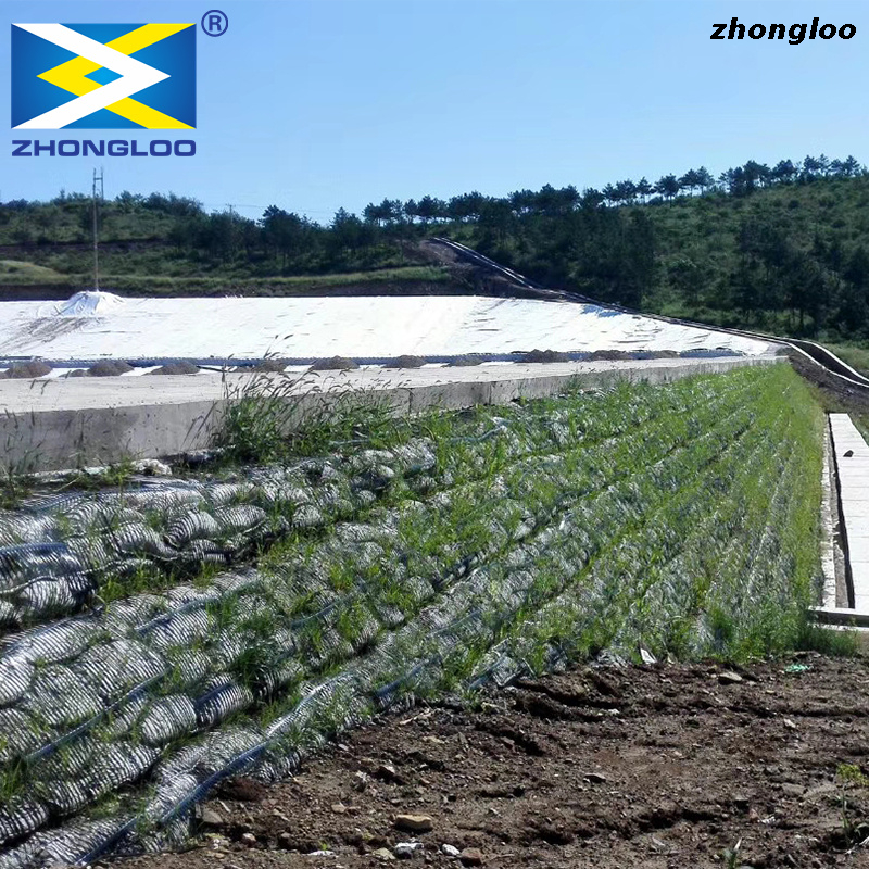 One-way Plastic Geogrid for Slope Protection Retaining Wall.