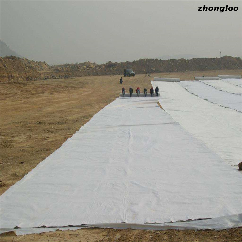 Impermeable Material 500-2000gsm Hdpe Manufacturers Producing Composite Geomembrane High Density Geomembrane