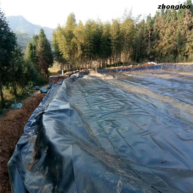 Smooth Textured HDPE Geomembrane for Fish Farming Dam Liner