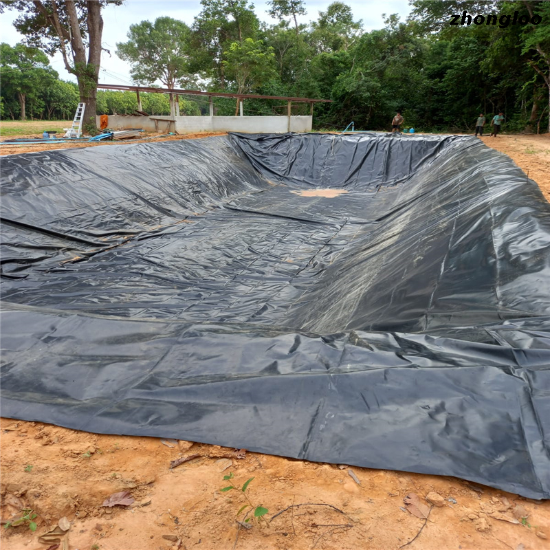 Free Sample Geomembrane 2mm Dam Liners