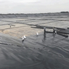 High Strength Waterproof HDPE Liner Sheet for Pond, Landfill, Mining, and Agriculture Geomembrane