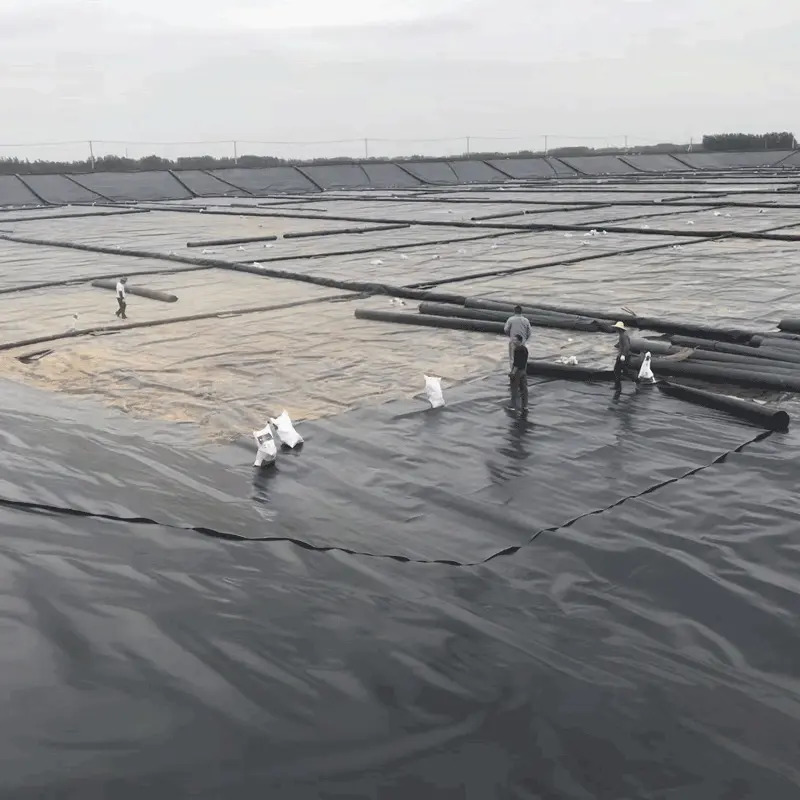 High Strength Waterproof HDPE Liner Sheet for Pond, Landfill, Mining, and Agriculture Geomembrane