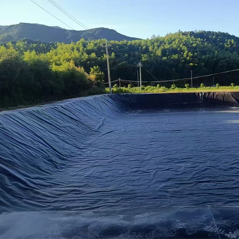 Hdpe Geo Membrane HDPE Geomembrane fish farm pond liner