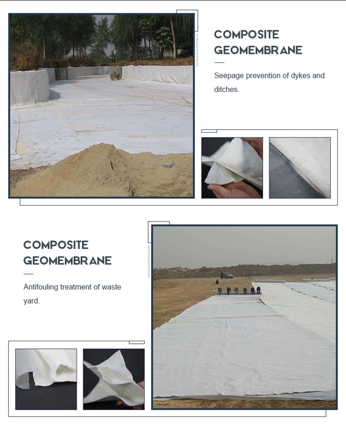 Composite Geomembrane3